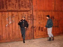 Skinheads ns argentina